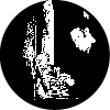 Eitan Epstein Music Profile Image