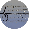 Evgenii Serebriakov Profile Image