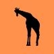 Giraffe Music Profile Image