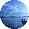 Mark Woollard Profile Image